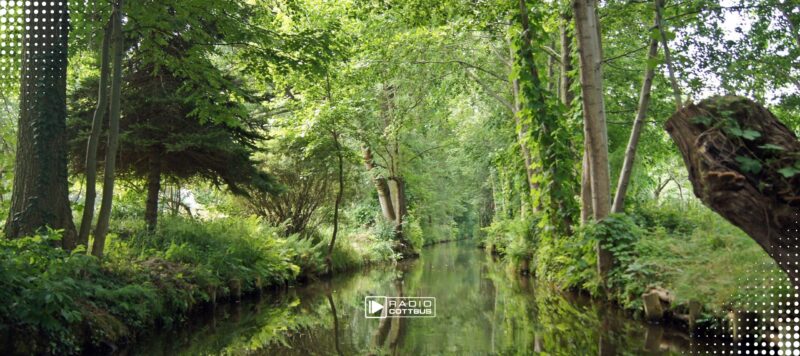 App Spreewald: Neue AR-App zeigt Natur im Spreewald digital
