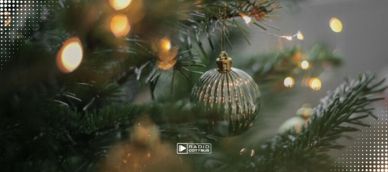 Weihnachtsbaumsaison in Brandenburg beginnt nächste Woche