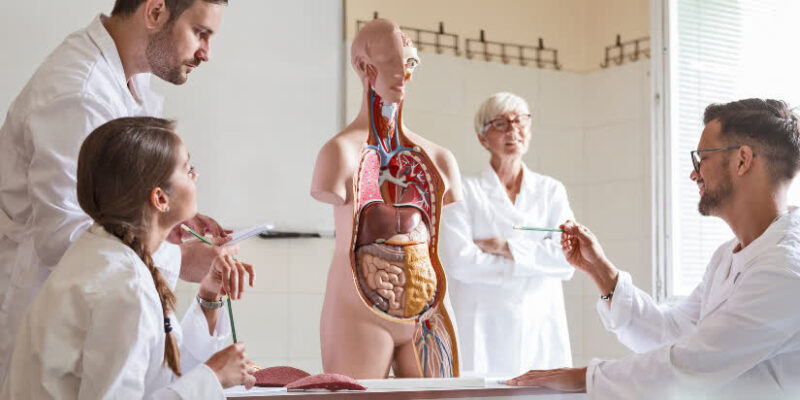 Hausarzt-Versorgung: Neues Netzwerk soll Cottbus retten