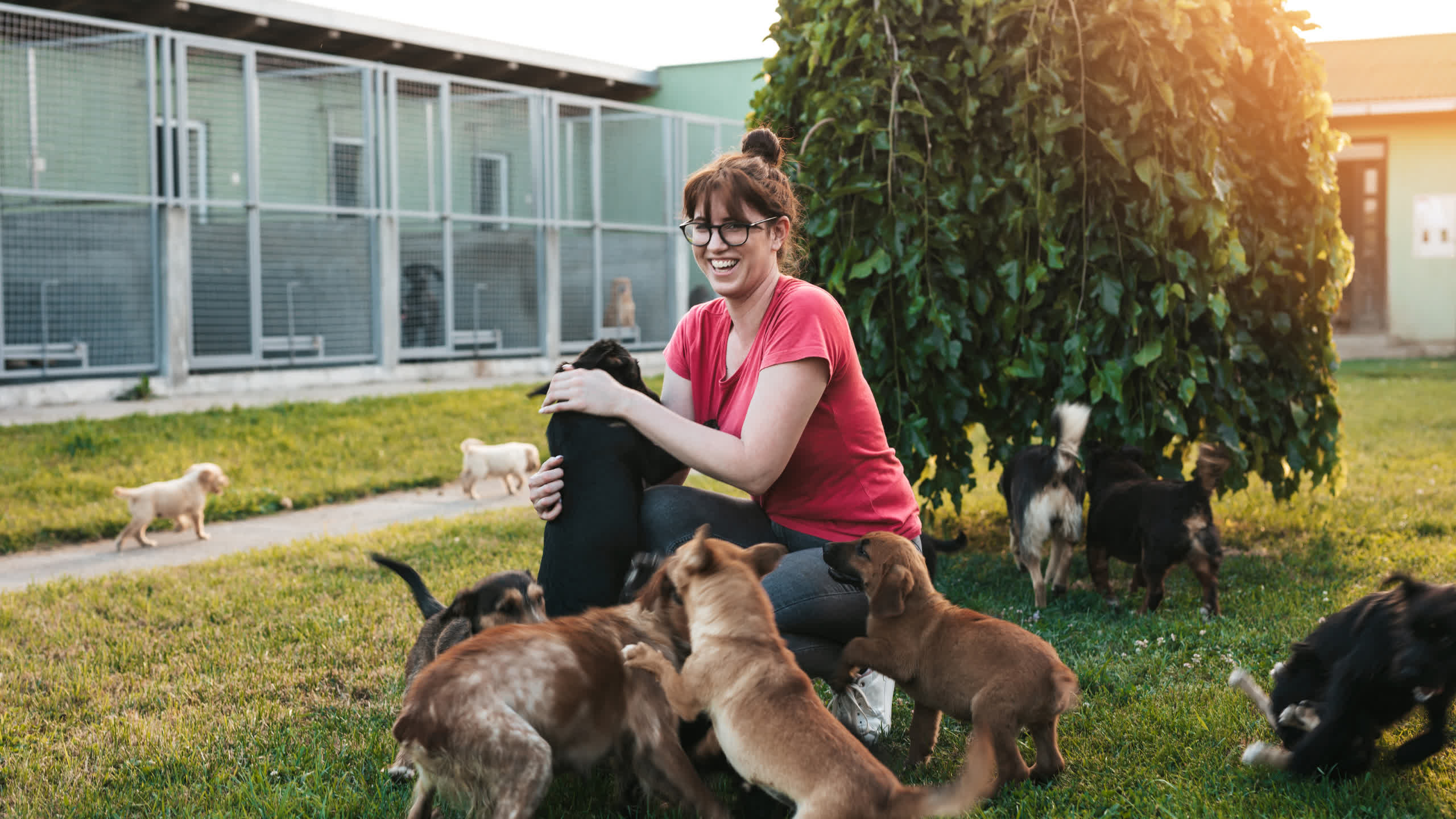 Das Tierheim Cottbus sucht Tierpfleger (m/w/d)