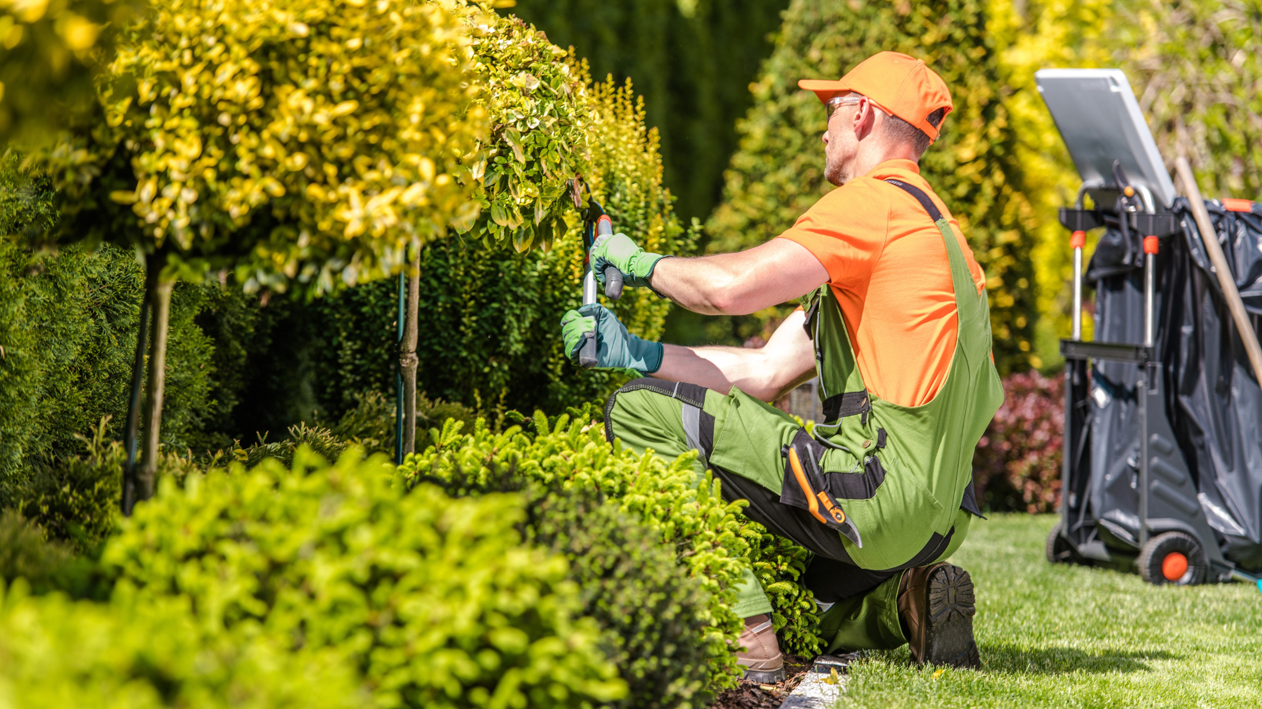 Landschaftsgestaltung Sybille Pikelke sucht euch (m/w/d)