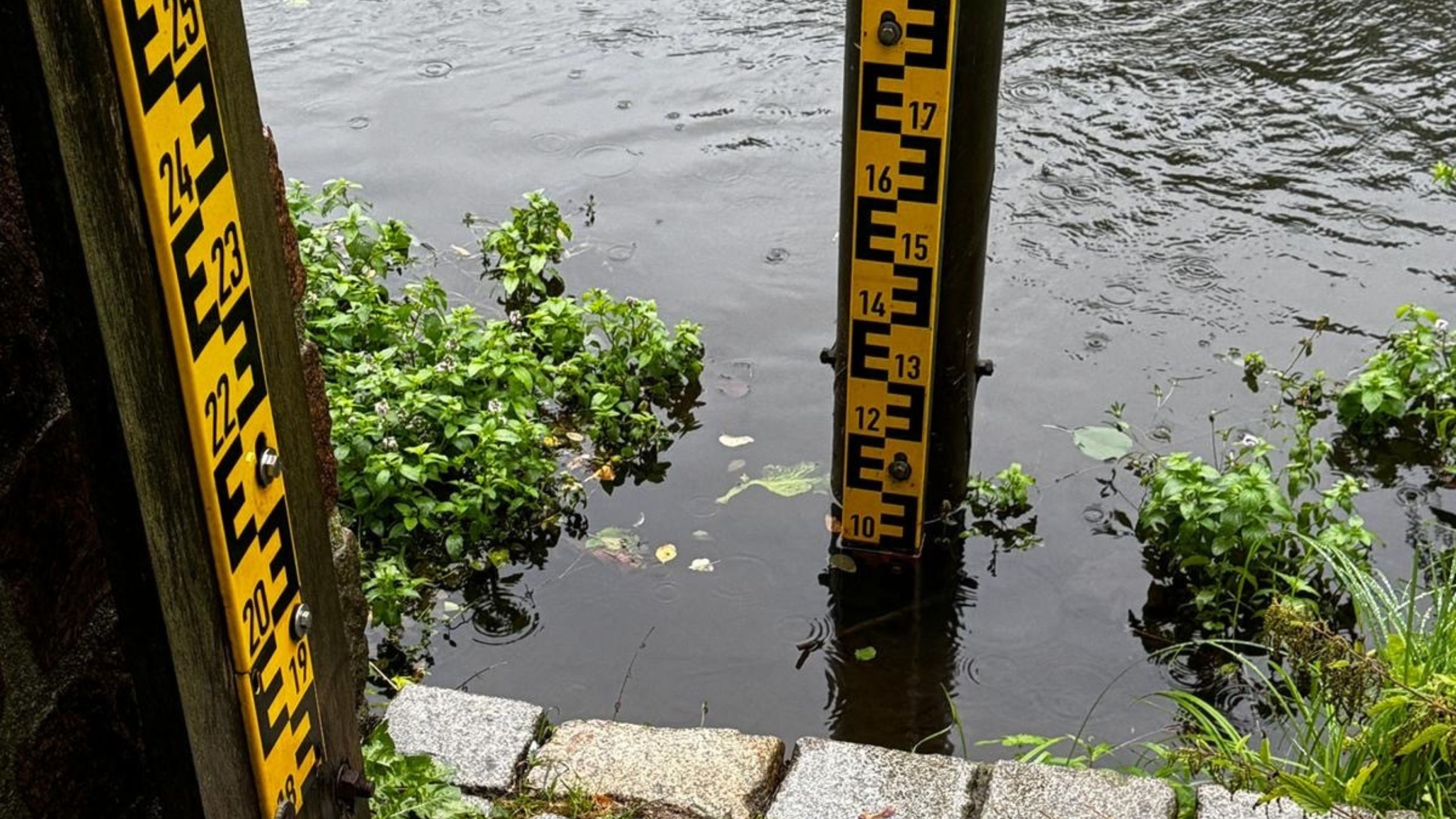 Hochwasser Spree