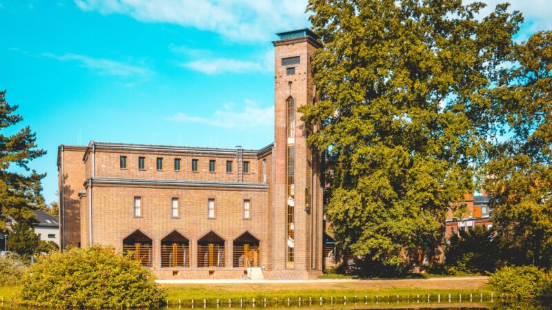 Bewegte Blätter: Neue Ausstellung im BLMK Cottbus