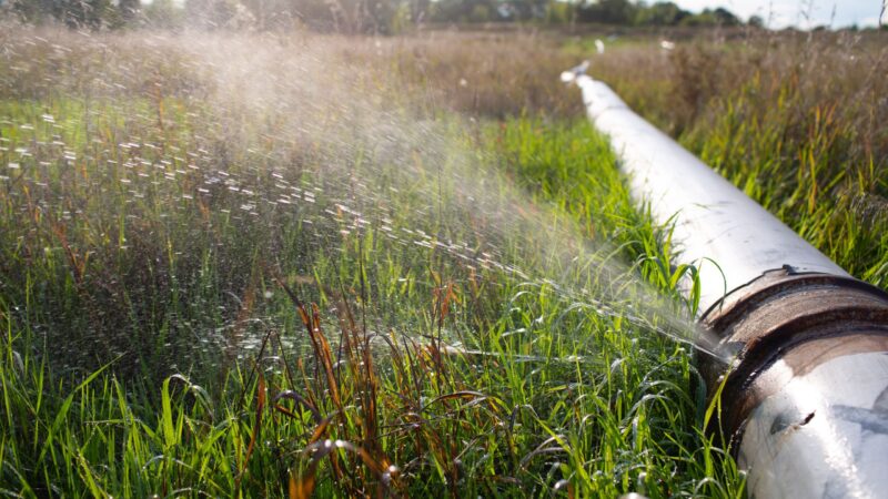 Wasserrohrbruch in Milkersdorf: Trinkwasserversorgung in mehreren Ortsteilen unterbrochen