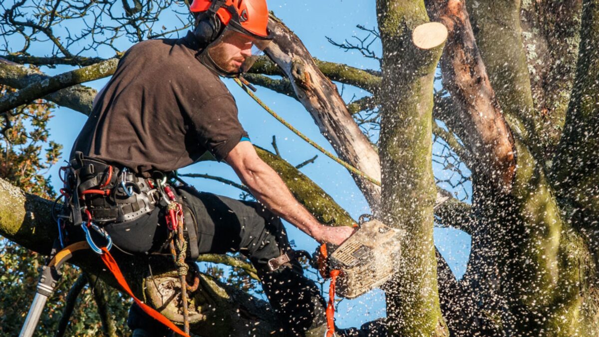 Mann der einen Baum versägt