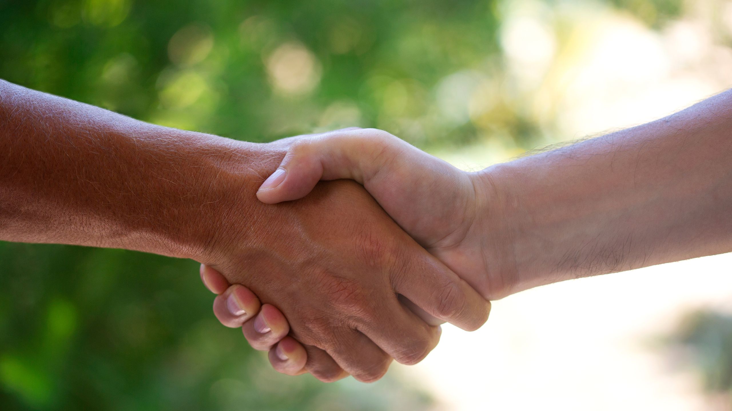 Hand in Hand
