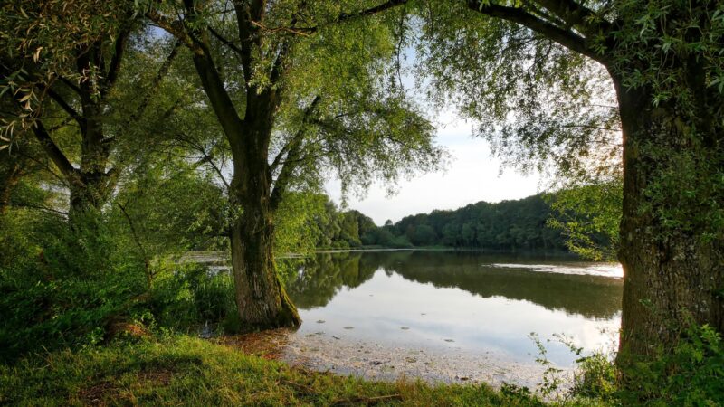 Neue Seenlandschaft in Jänschwalde – doch wer prüft die Risiken?