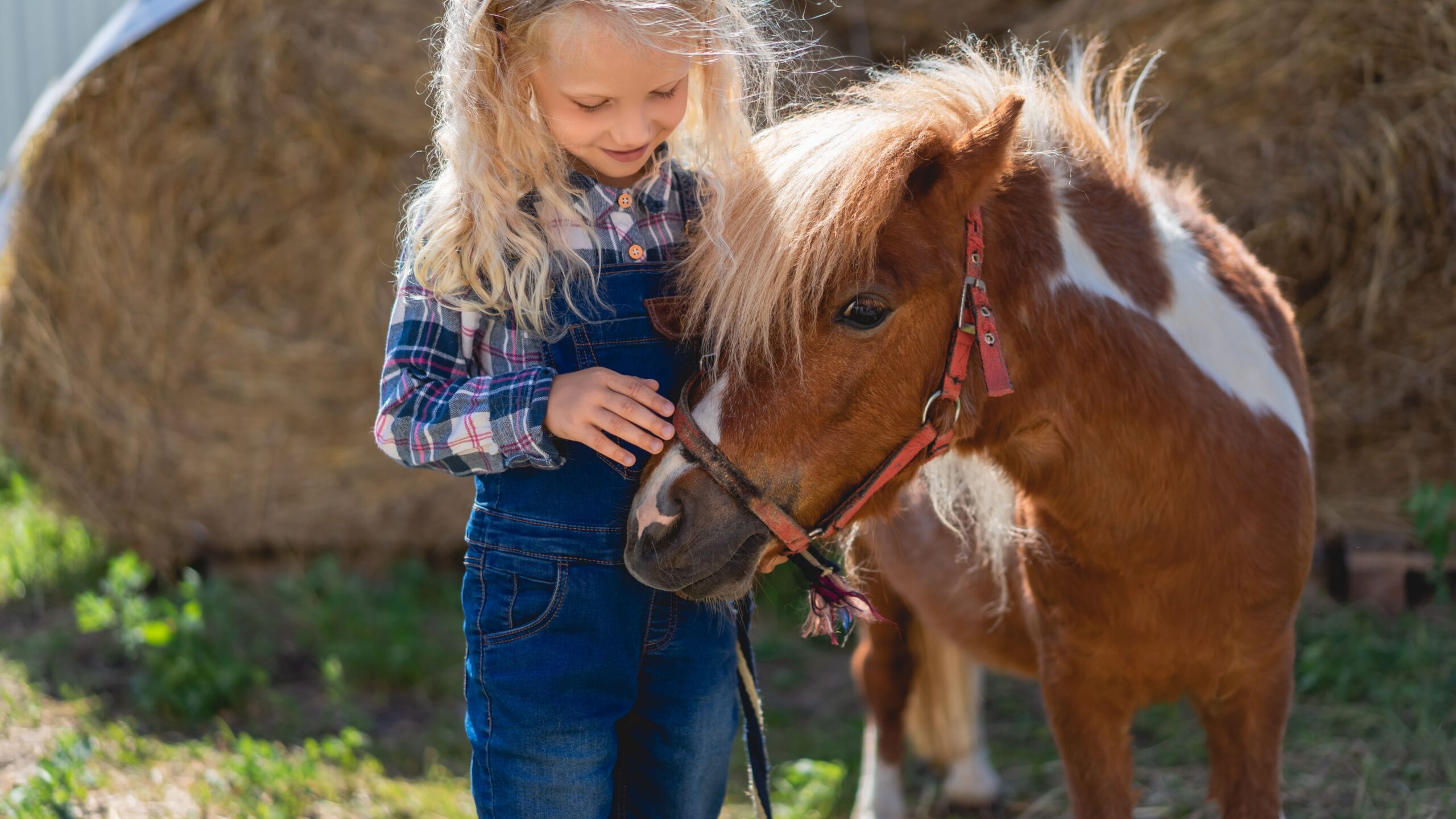 Ein blondes Mädchen streichelt ein braunes Pony