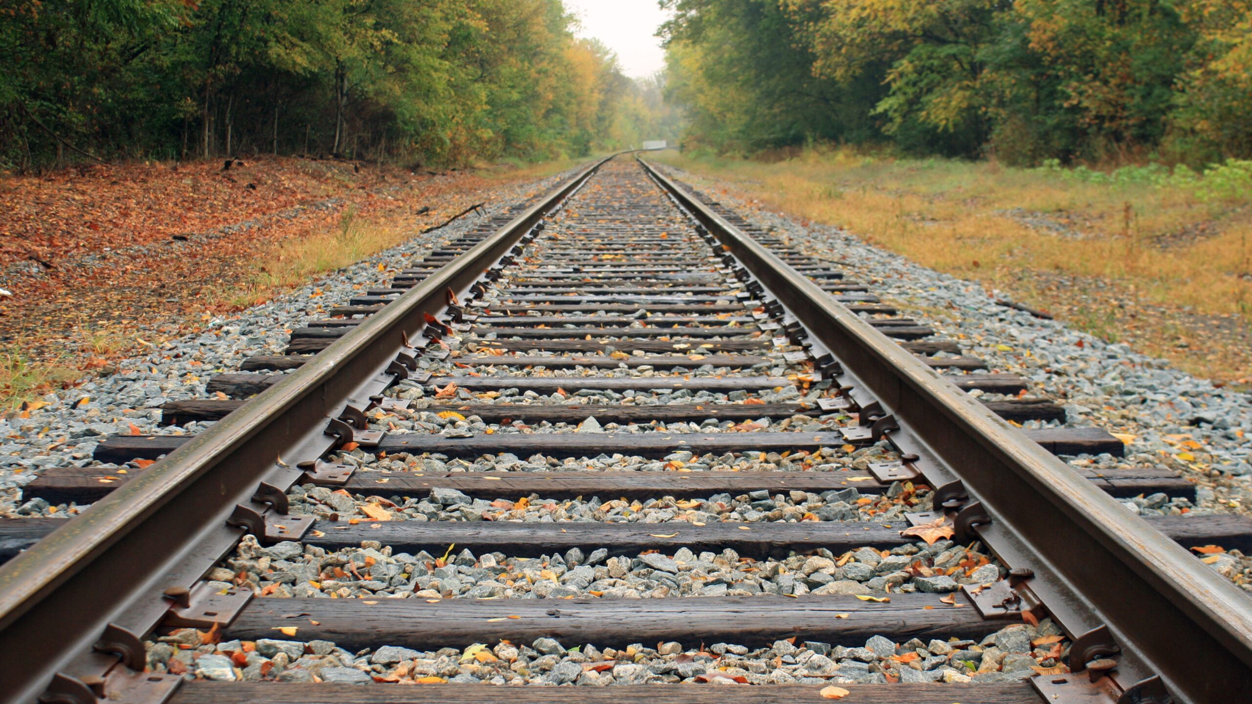 Bahnschienen von Nahem, im Hintergrund ein Wald