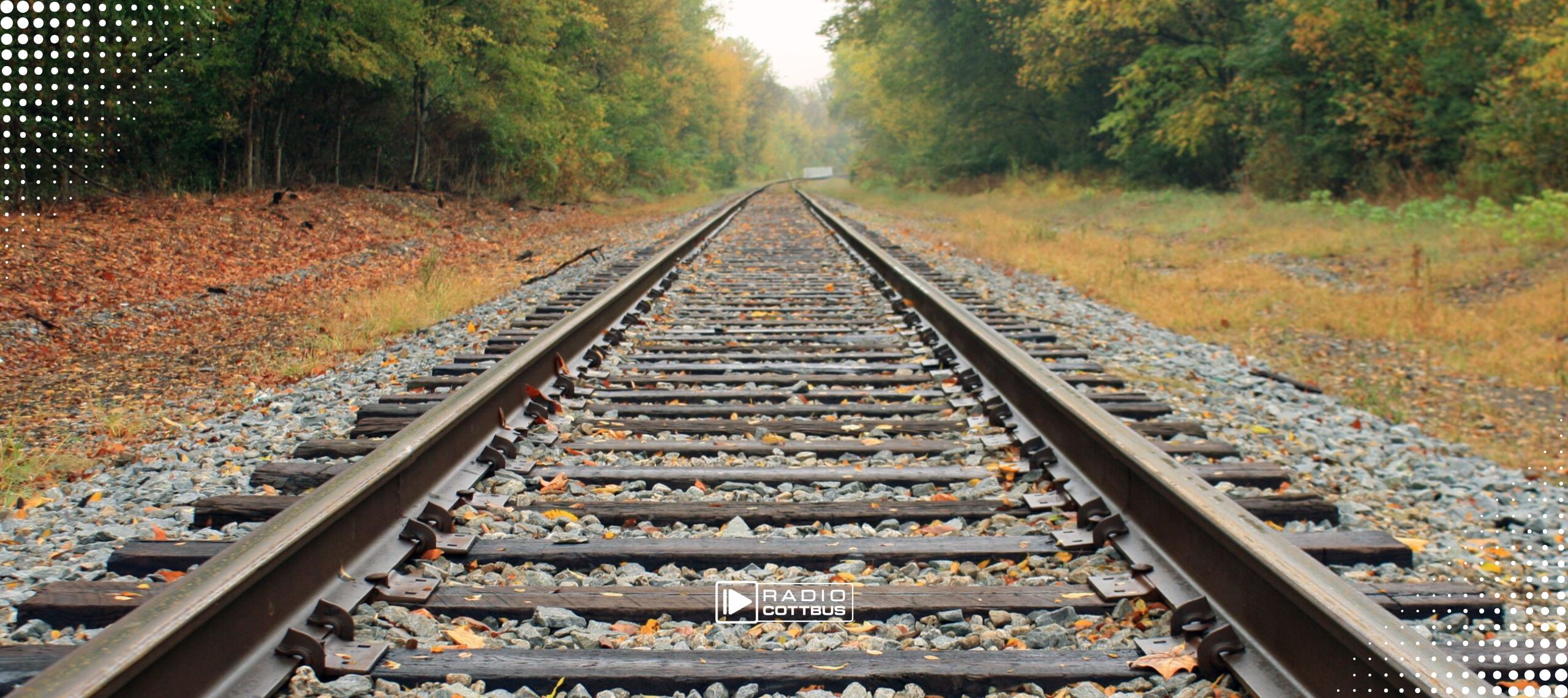 Bahnschienen von Nahem, im Hintergrund ein Wald