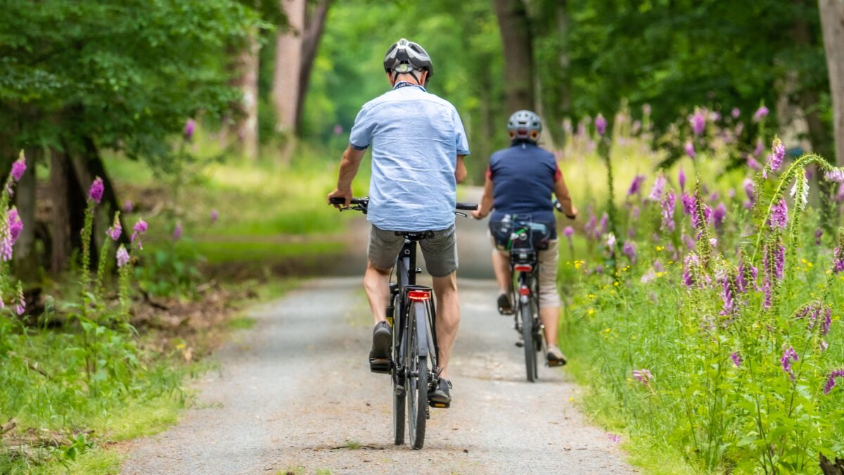 Ein älteres Ehepaar auf Fahrrädern von hinten zu sehen, sie fahren auf einem Weg durch einen Wald mit grünen Bäumen und lilafarbenen Blumen am Wegesrand