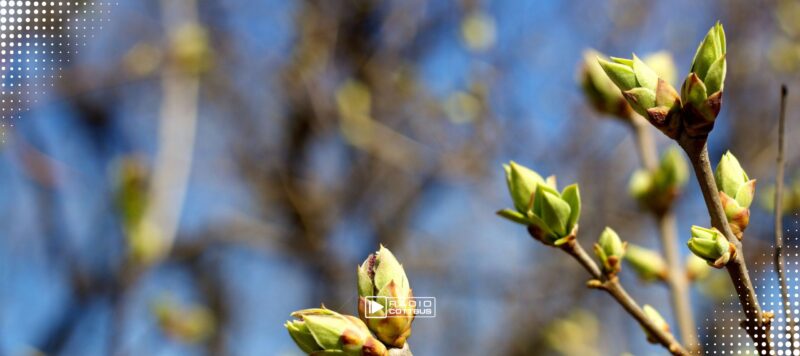 Lübbenau begrüßt den Frühling – Rudelübergabe und Ostermarkt