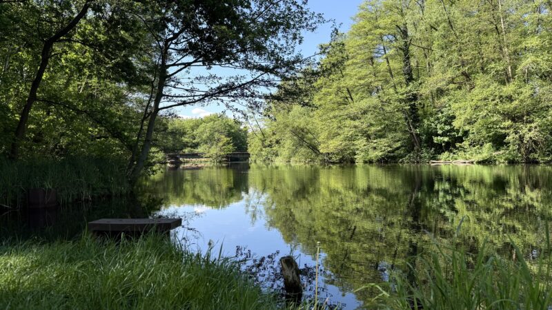Leiche aus Spree bei Cottbus-Madlow geborgen