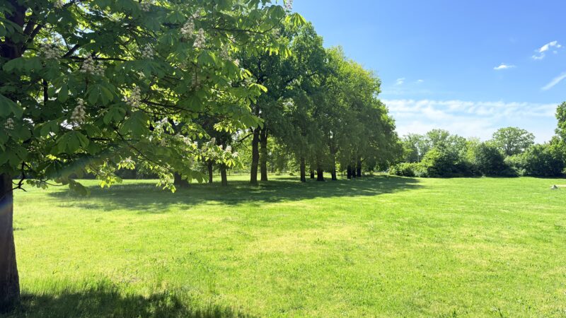 Schlossinsel schließt abends früher: Das gilt ab Januar