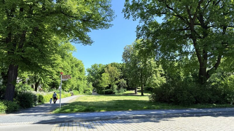 Cottbus unter Hitzedruck: Umwelthilfe fordert mehr Grün