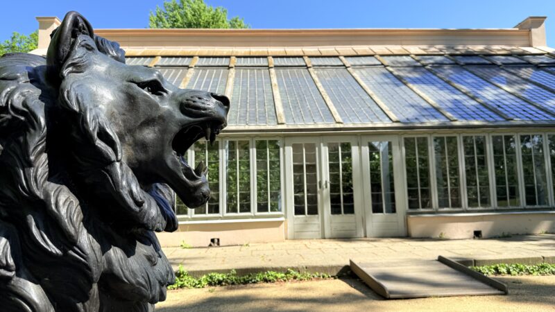 Cottbus feiert Städtepartnerschaften mit Montreuil und Grosseto