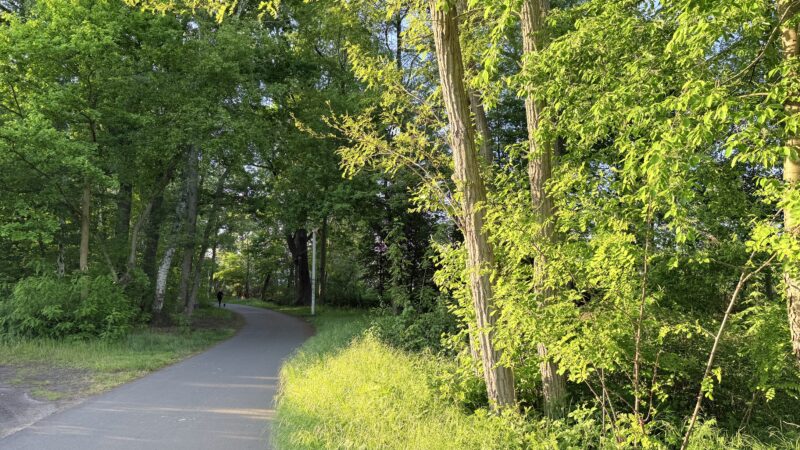 Nachhaltige Sanierung mit Kaltrecycling gestartet