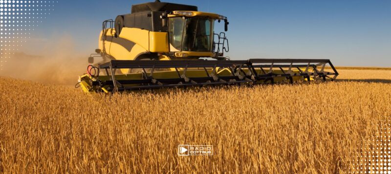Millionenförderung für Projekte in der Landwirtschaft