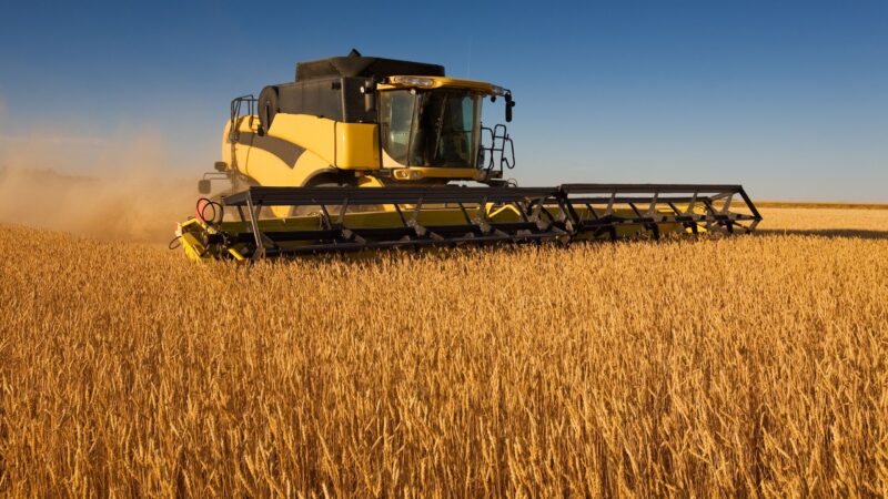 Millionenförderung für Projekte in der Landwirtschaft