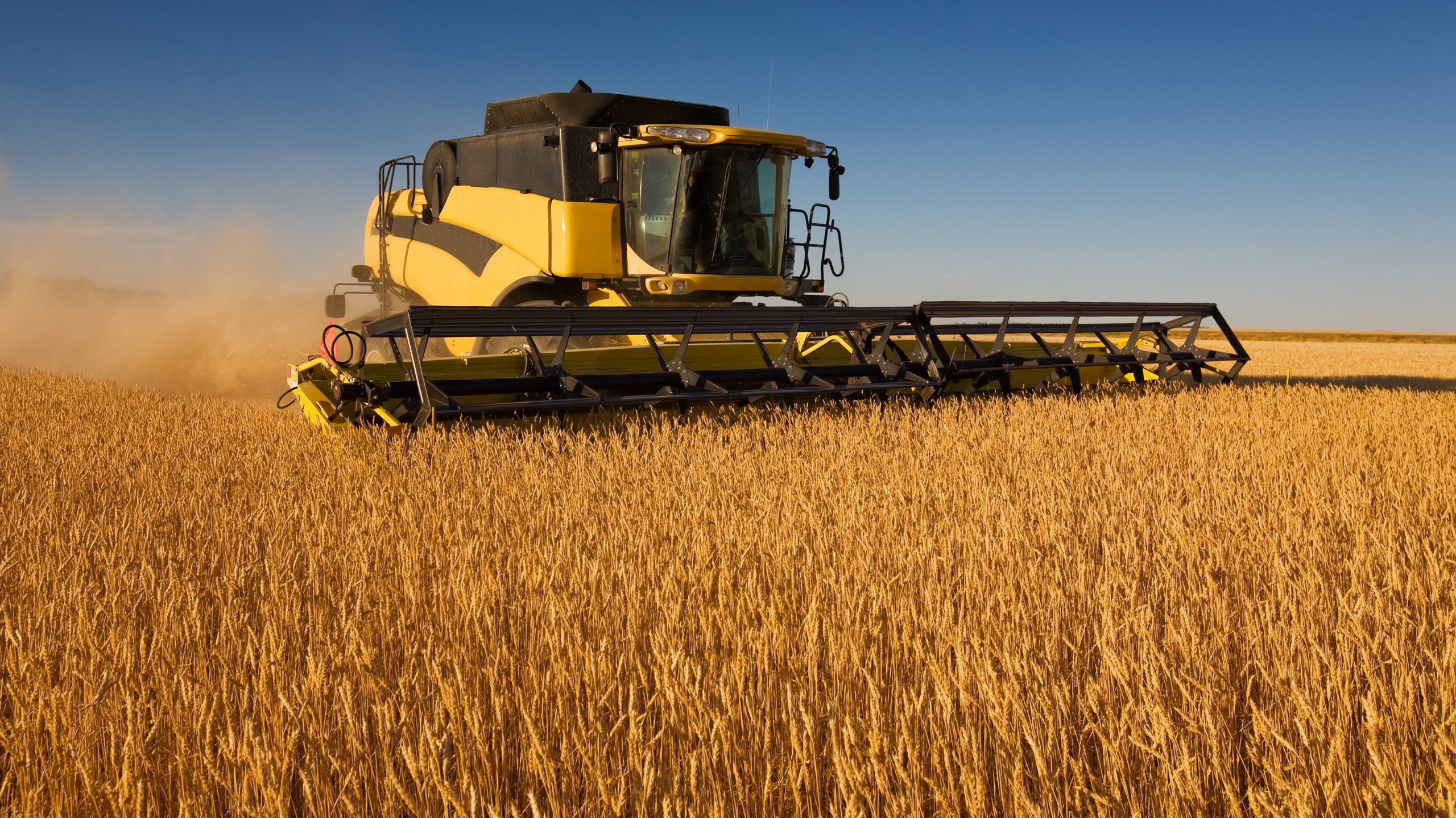 Landwirtschaft