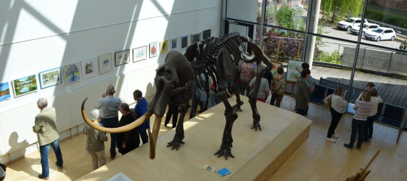 Kunst im Kreishaus: Neue Ausstellung des Malzirkels Branitz gestartet
