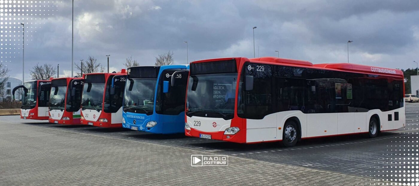 Busse von Cottbusverkehr - Nahverkehr