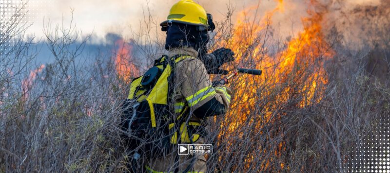 Erster Waldbrand-Einsatz in Brandenburg 2026