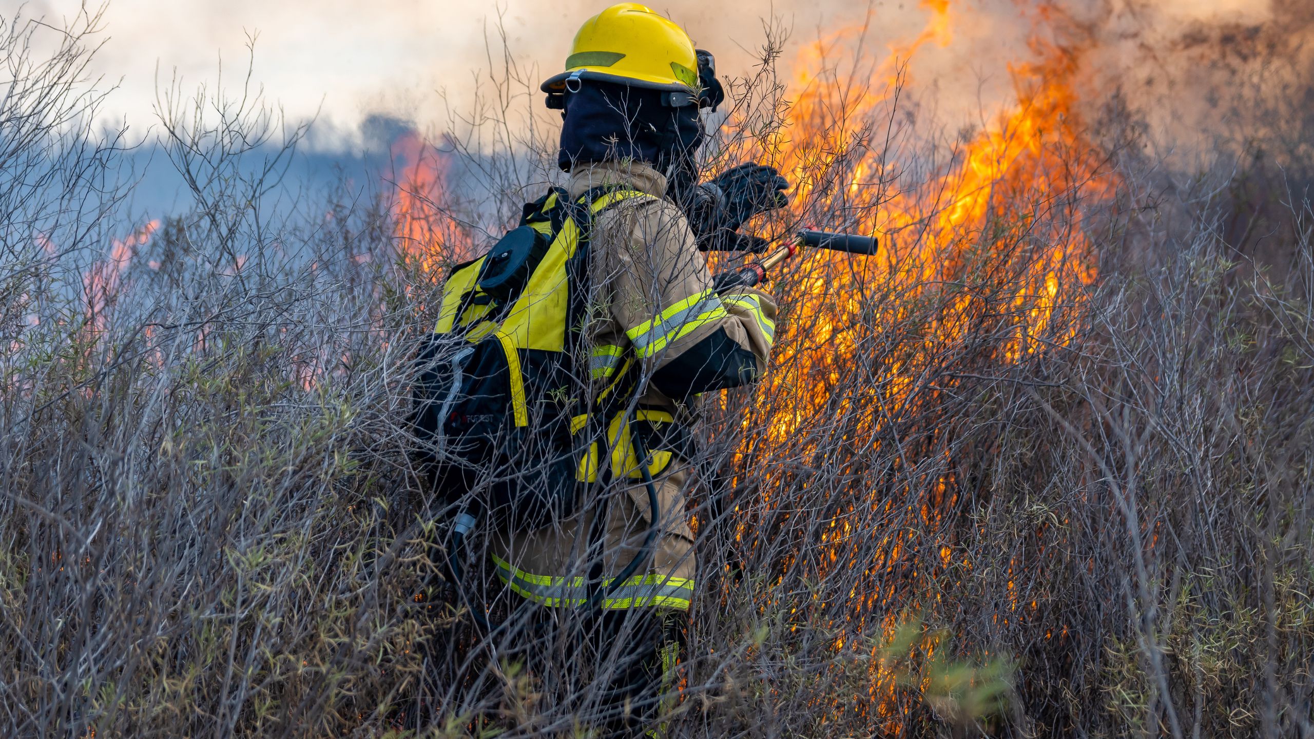 Waldbrand