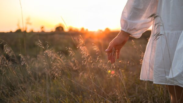 Anmeldestart für „Natur zum Anfassen“