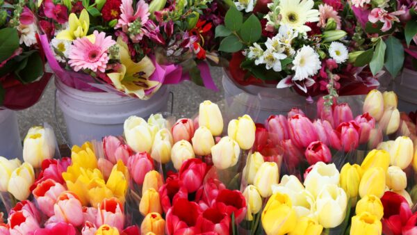 Forst feiert den Frühling mit Musik und Markt