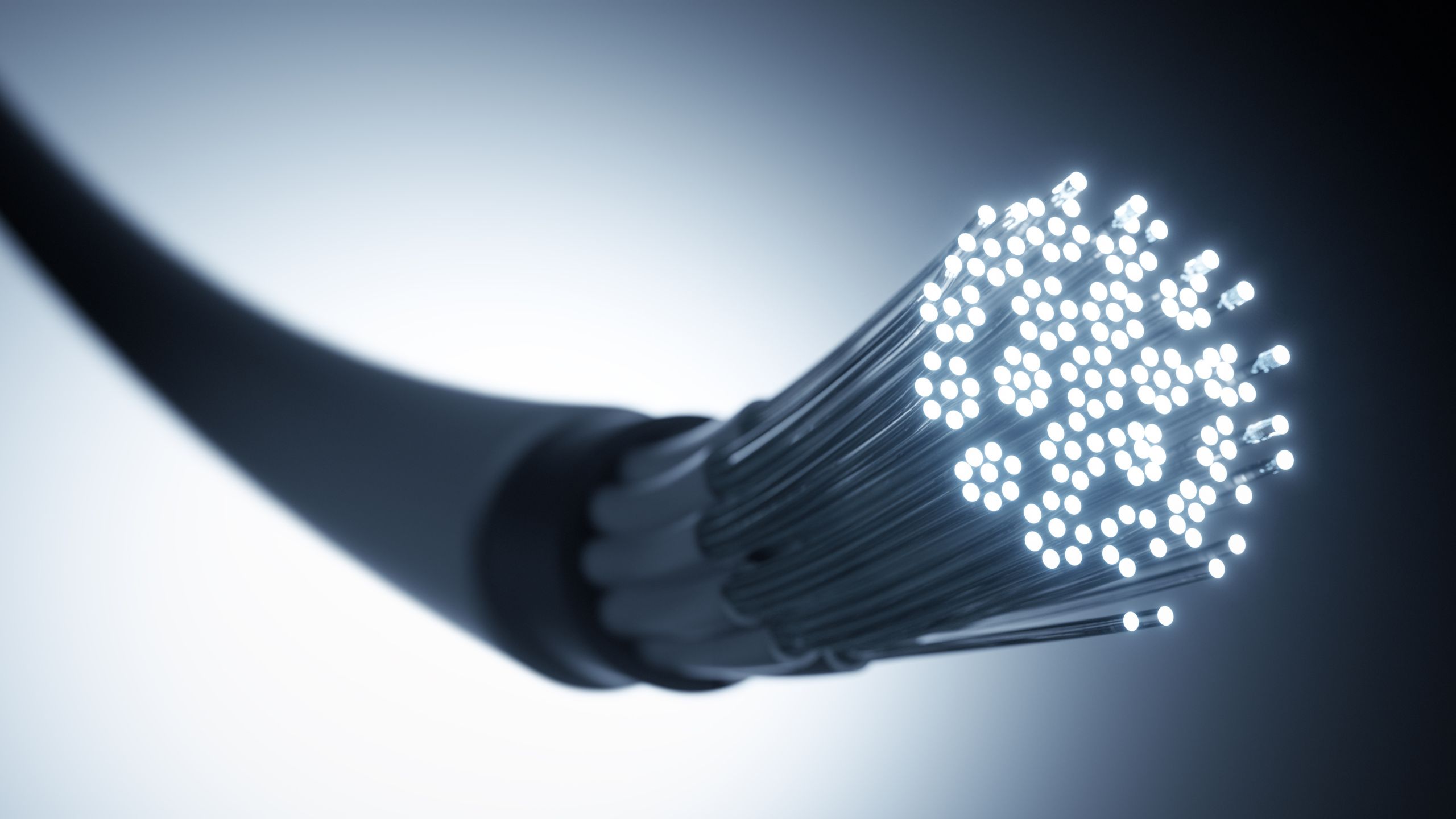 Glasfaserkabel mit Querschnitt