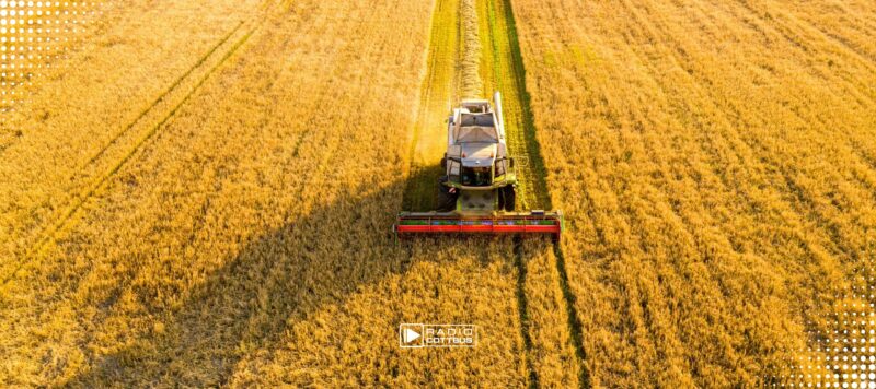 80 Millionen Euro weniger: Brandenburg warnt vor EU-Kürzungen für Landwirte
