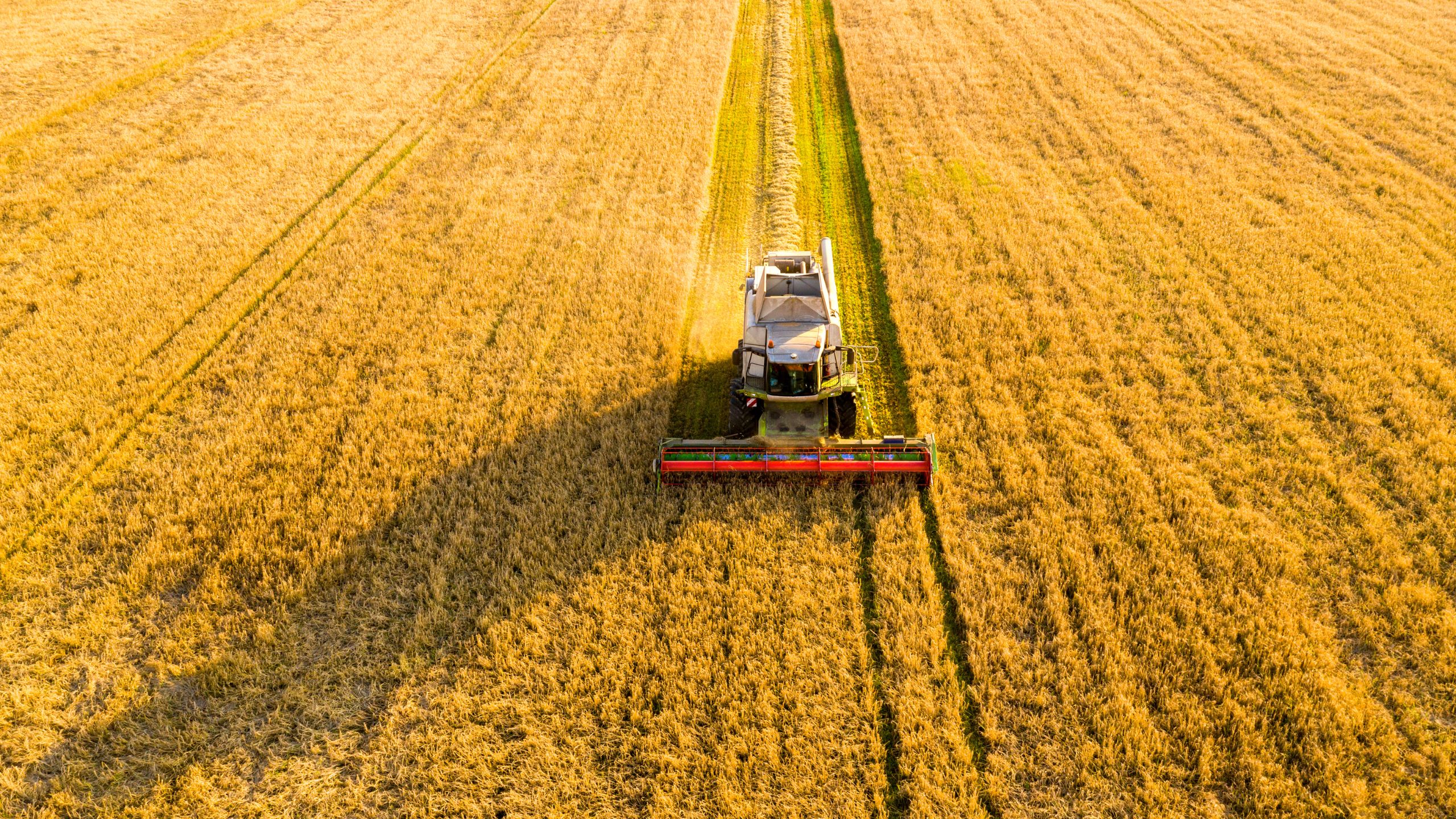 Landwirtschaftliches Gerät auf einem Feld