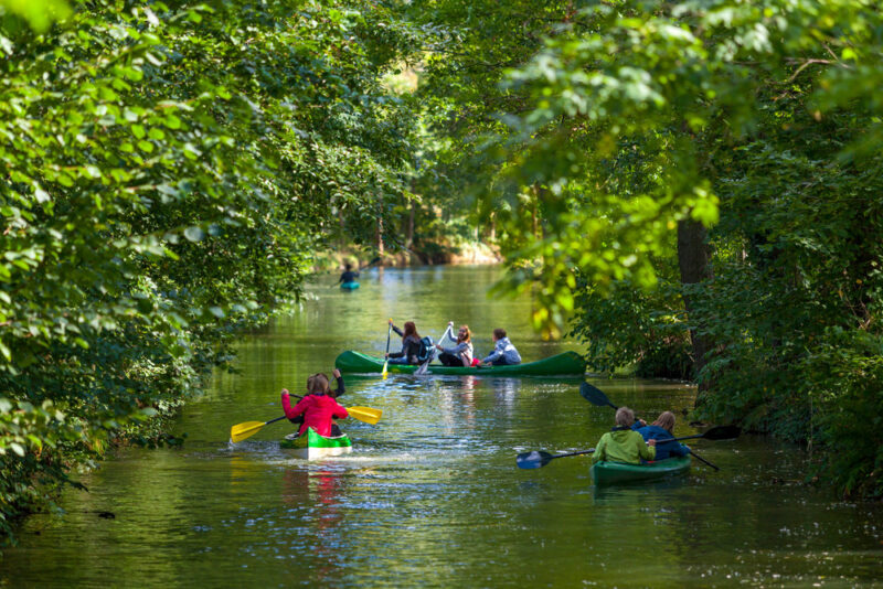 Neue Webseite bringt Klarheit für Wassermanagement in der Lausitz