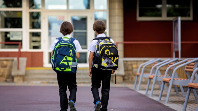 Stadt Cottbus bezuschusst Deutschlandticket für Schüler ab August