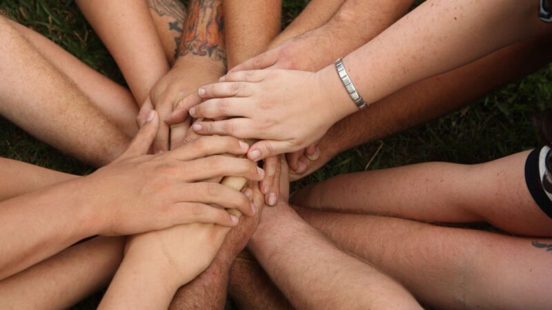 Anton-Adler-Preis: Grundschüler ausgezeichnet – Kind aus Cottbus geehrt