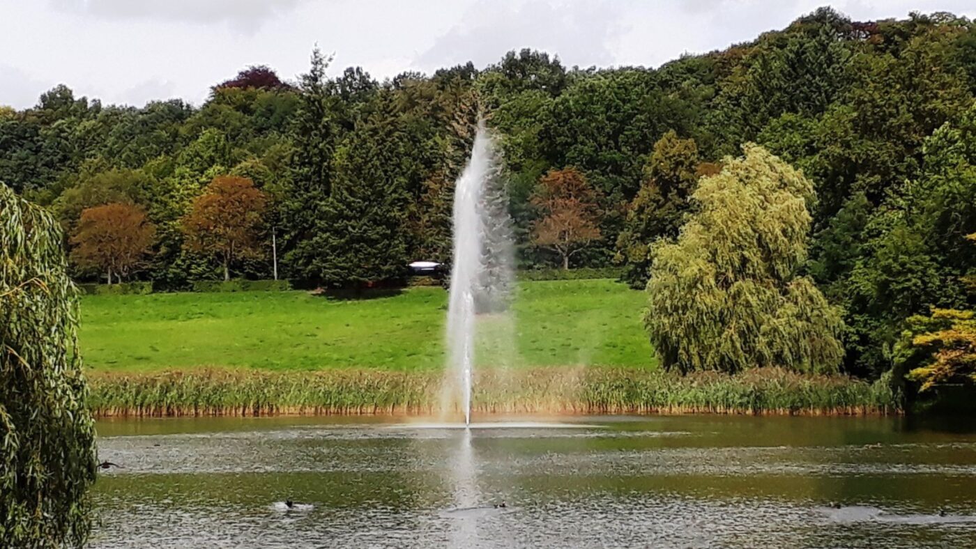 Schwanenteich in Spremberg mit einer riesen Wasserfontäne und Enten im Vordergrund. Im Hintergrund sind grüne Bäume zu sehen