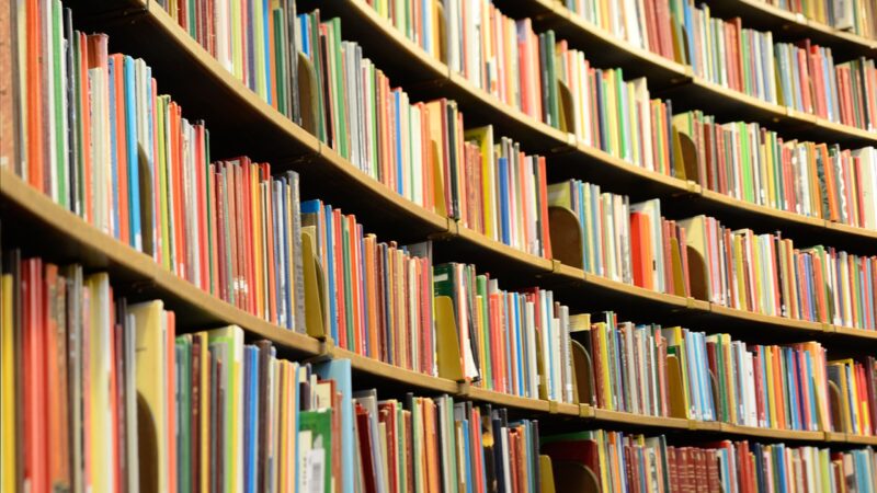 Berlin und Brandenburg bekräftigen Bibliotheks-Allianz