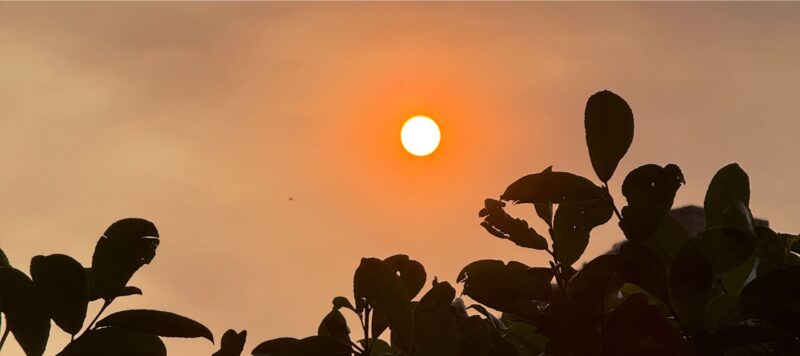 Asche färbt die Sonne rot – Brandenburg kämpft gegen das Feuer