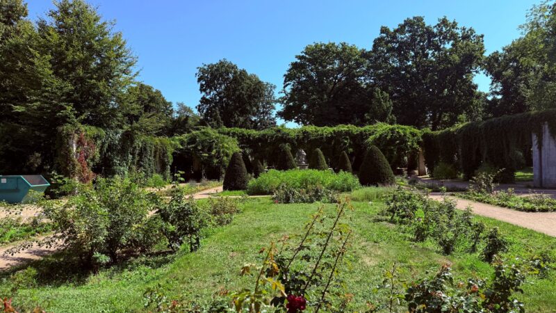Rosengarten Forst: Saison startet am 10. Mai