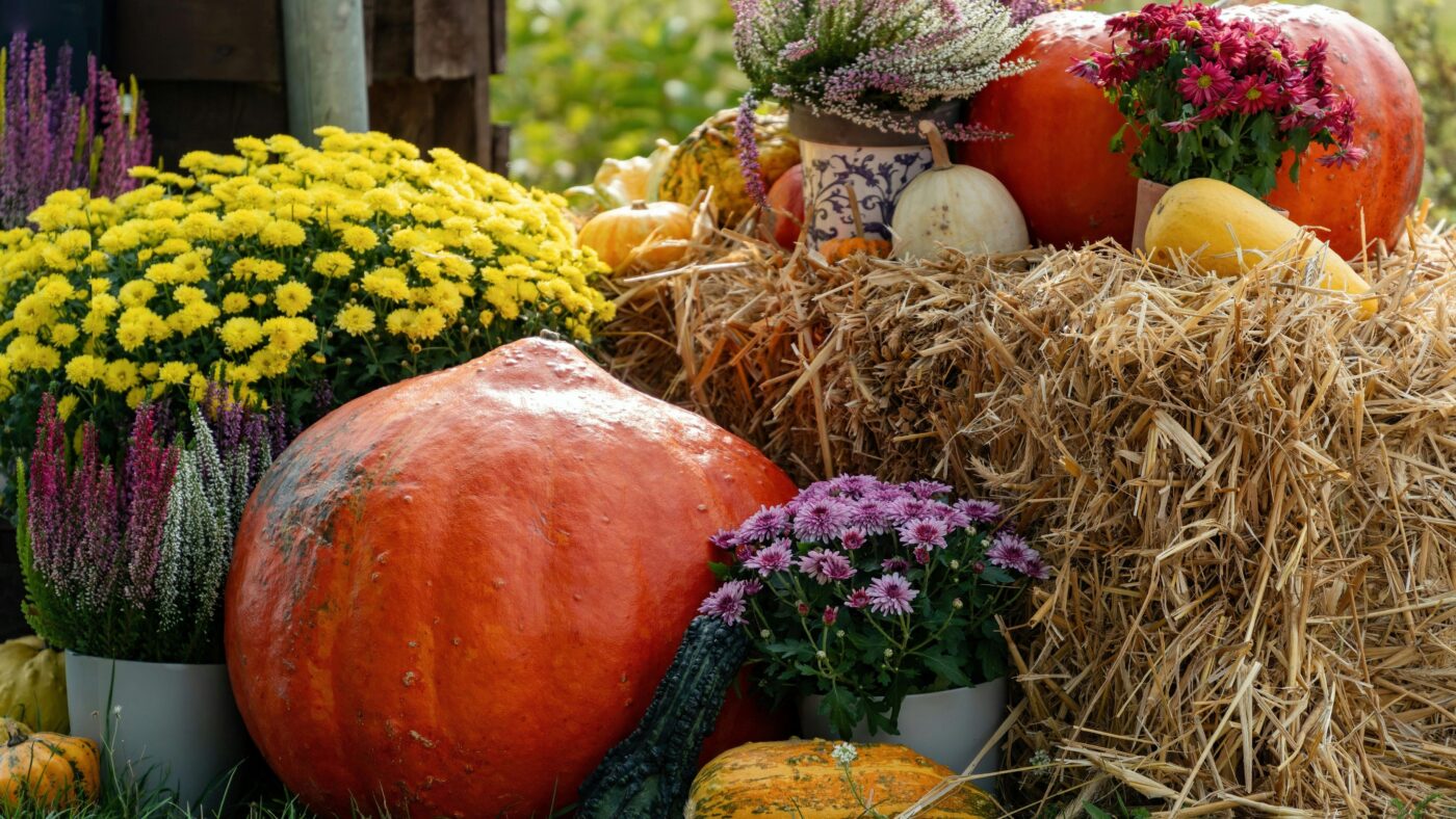 Ein Strohballen daneben Kürbisse und Blumen