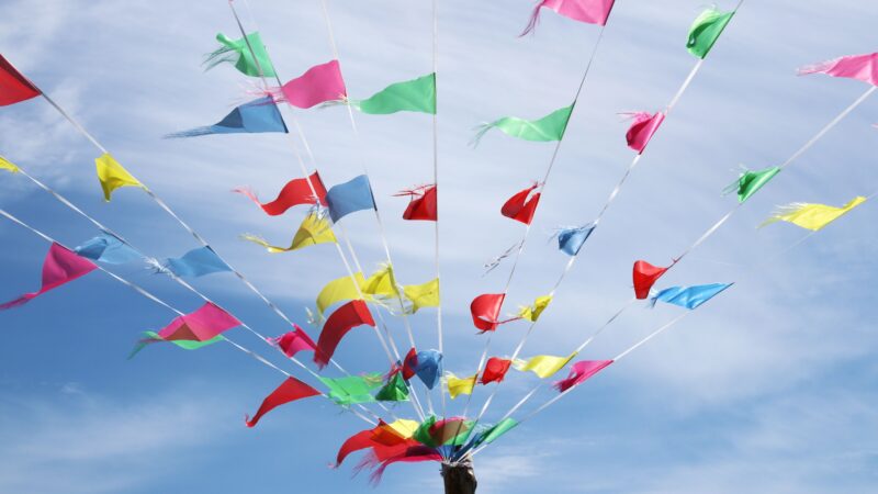 Vielfalt trifft Gemeinschaft beim Fest der Kulturen in Senftenberg