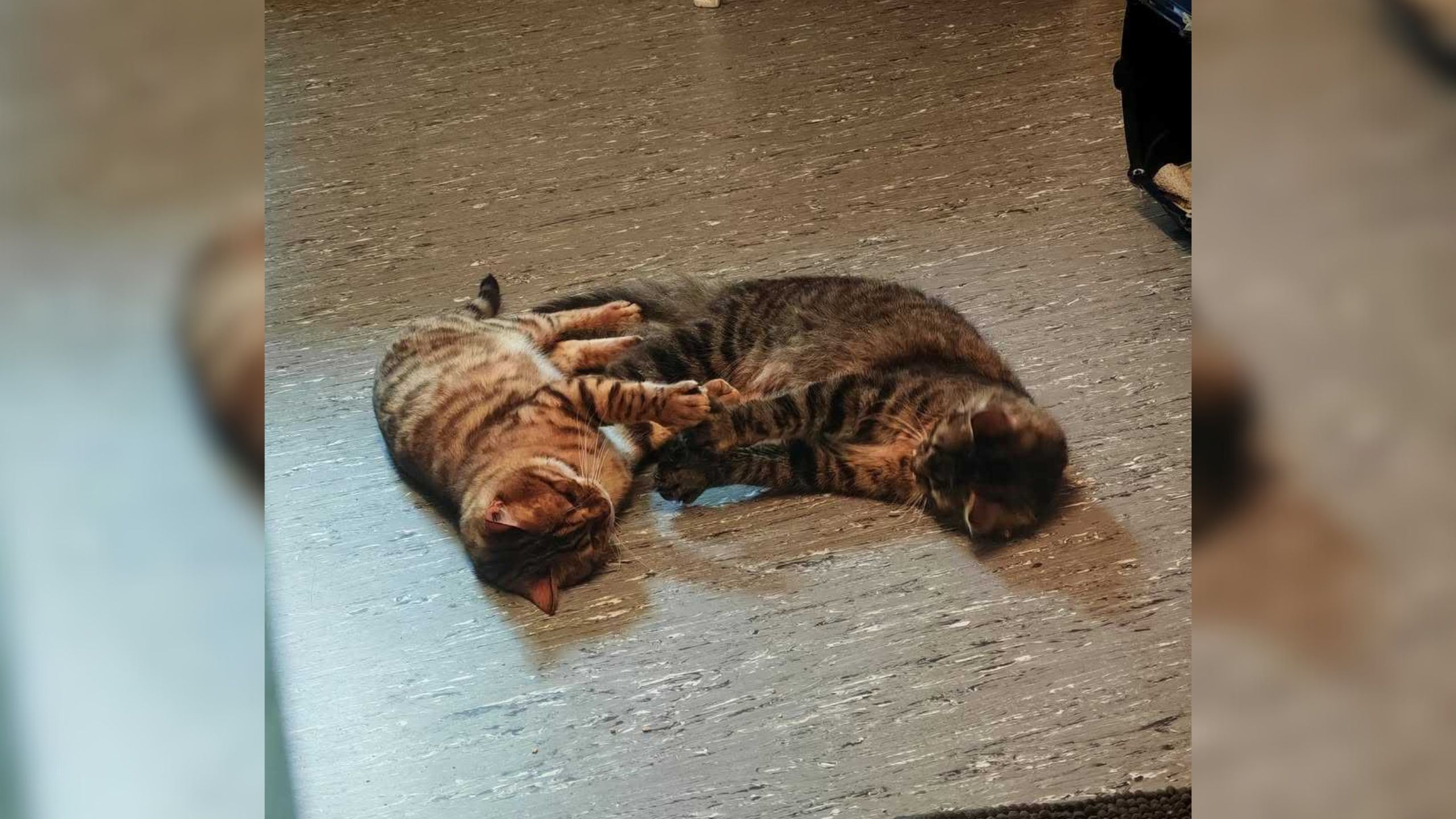Loui und Leopold