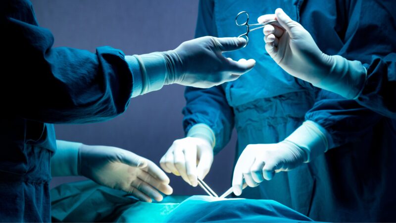 Seit drei Jahren keine Organtransplantation in Brandenburg