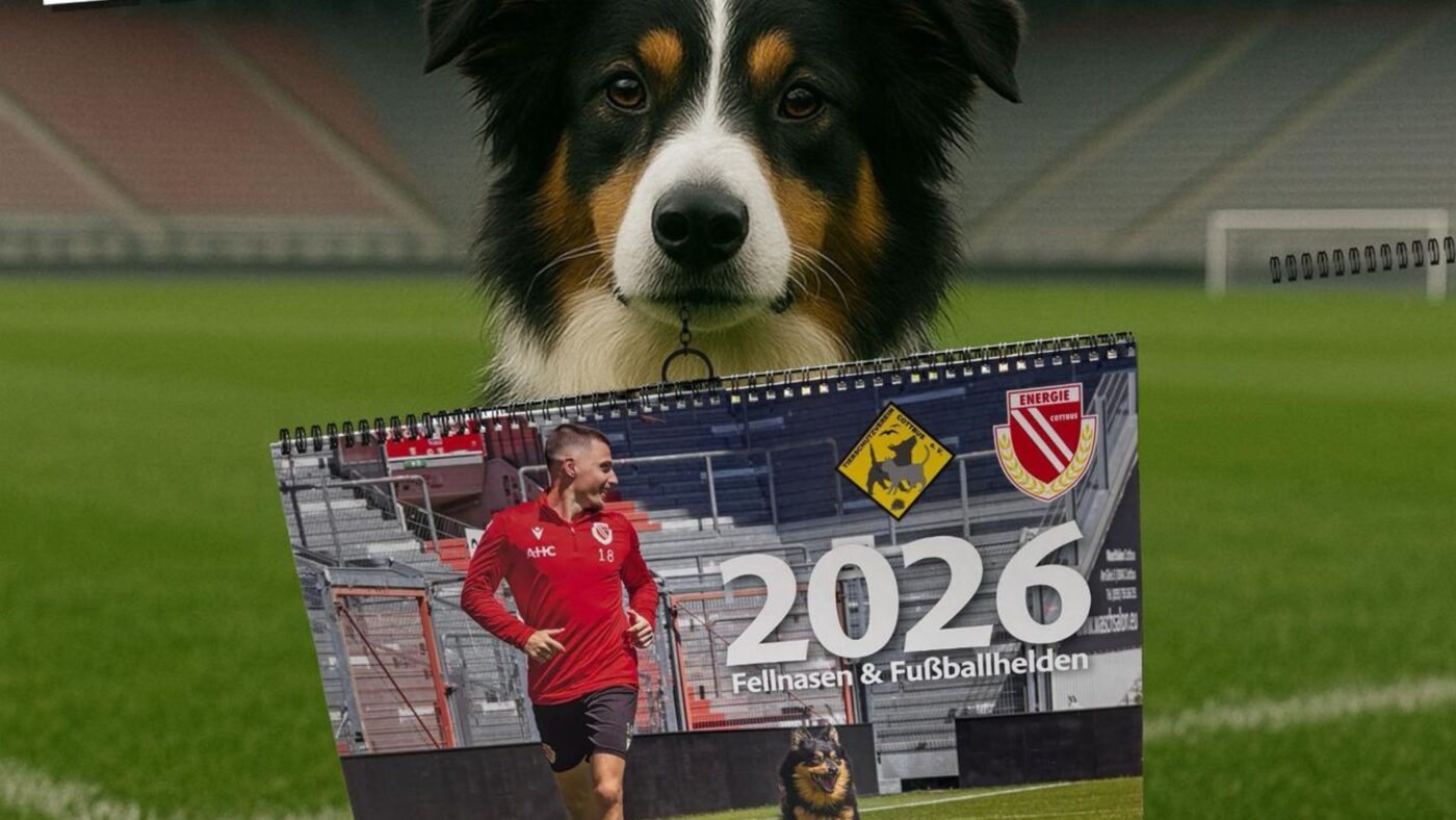 Ein Hund aus dem Cottbuser Tierheim hält in seiner Schnauze den Tierheim Kalender 2026