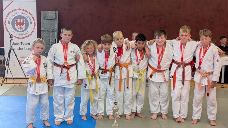 Spremberger Jungs holen Bronze bei den Landesmeisterschaften im Judo