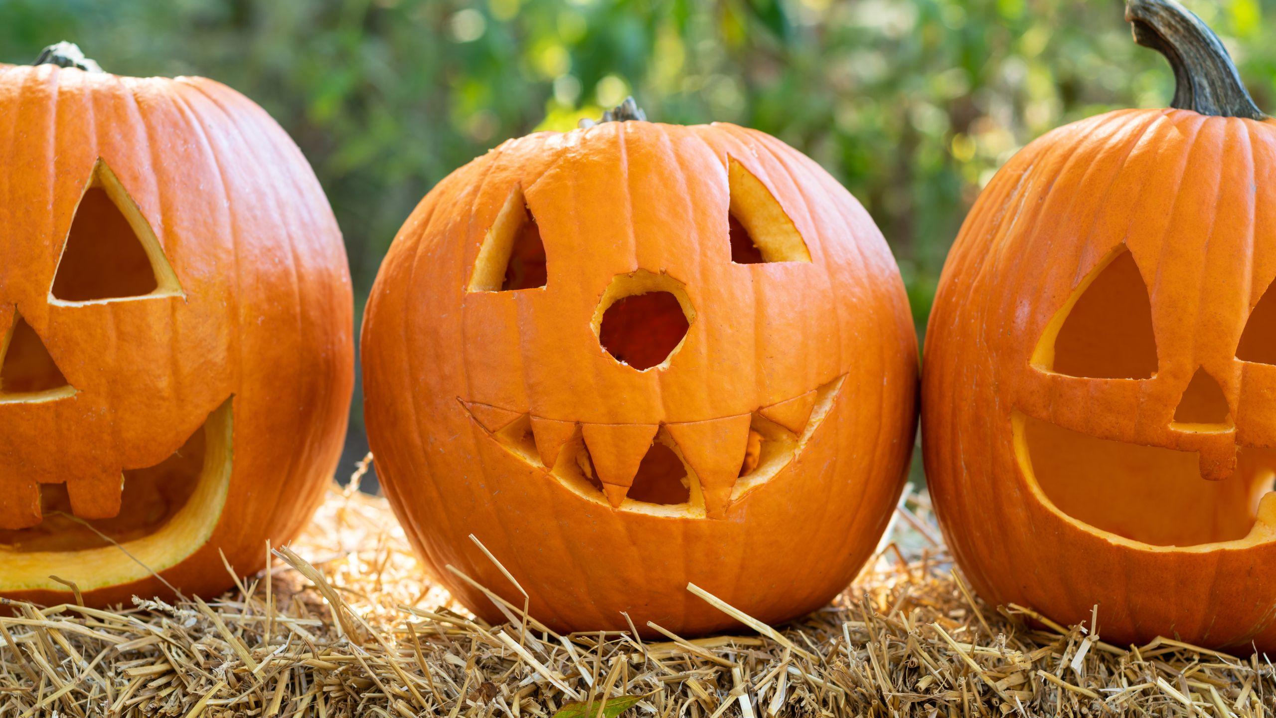 3 geschnitzte Kürbisse auf einem Heuballen