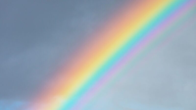 Regenbogenflagge vor Supermarkt gestohlen
