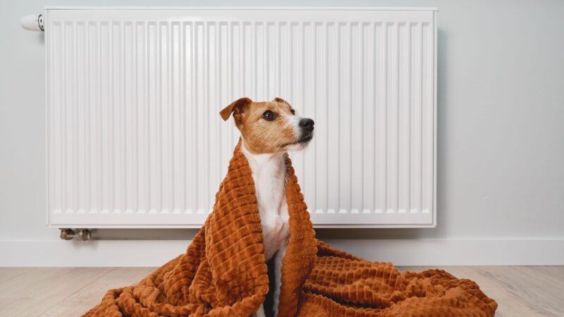 Wärmeversorgung in Lauchhammer gesichert – Einigung zwischen Vermieter und Energieversorger