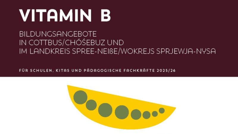 Neuer Bildungskatalog „Vitamin B“ startet ins Schul- und Kitajahr 2025/26
